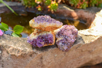 Natural Small Dark "Amethystos" Amethyst Clusters x 35 From Kwaggafontein, South Africa - TopRock