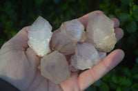 Natural Spirit Quartz Small Cluster or Crystal Specimens x 35 From Boekenhouthoek, South Africa - Toprock Gemstones and Minerals