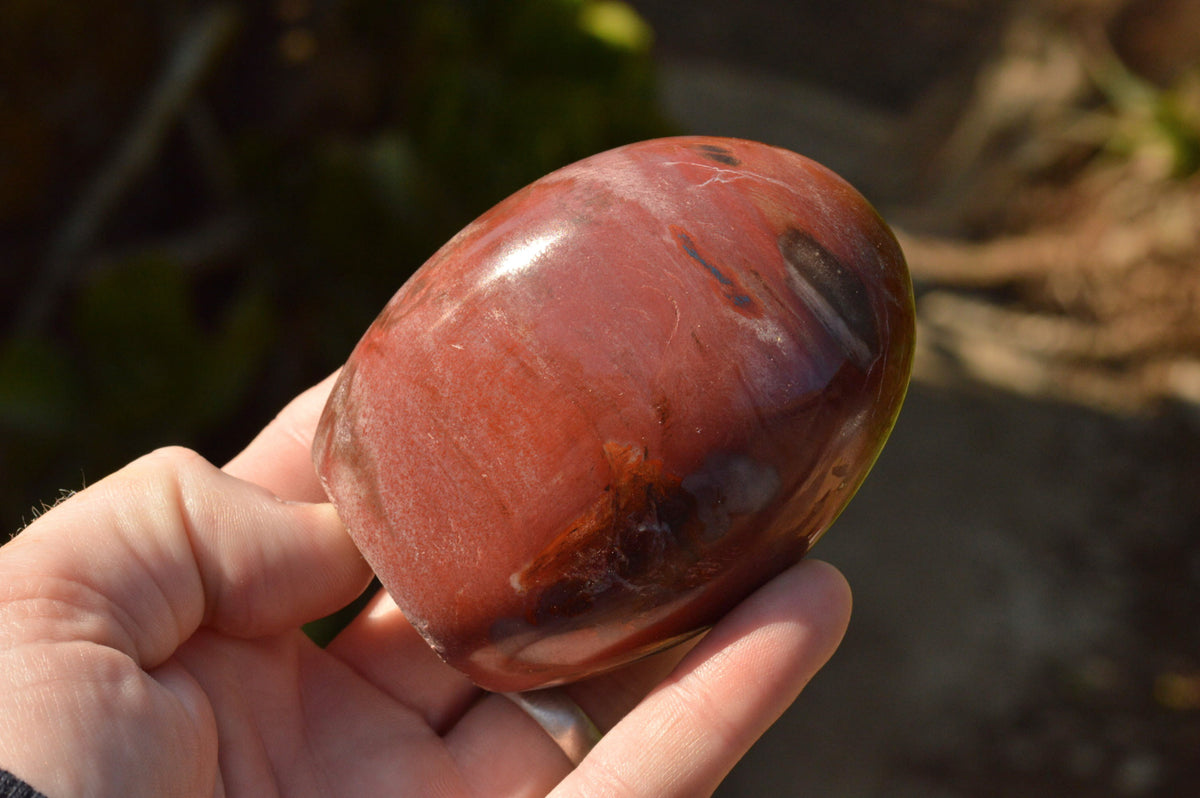 Polished Petrified Red Podocarpus Wood Standing Free Forms x 4 From Mahajanga, Madagascar - TopRock