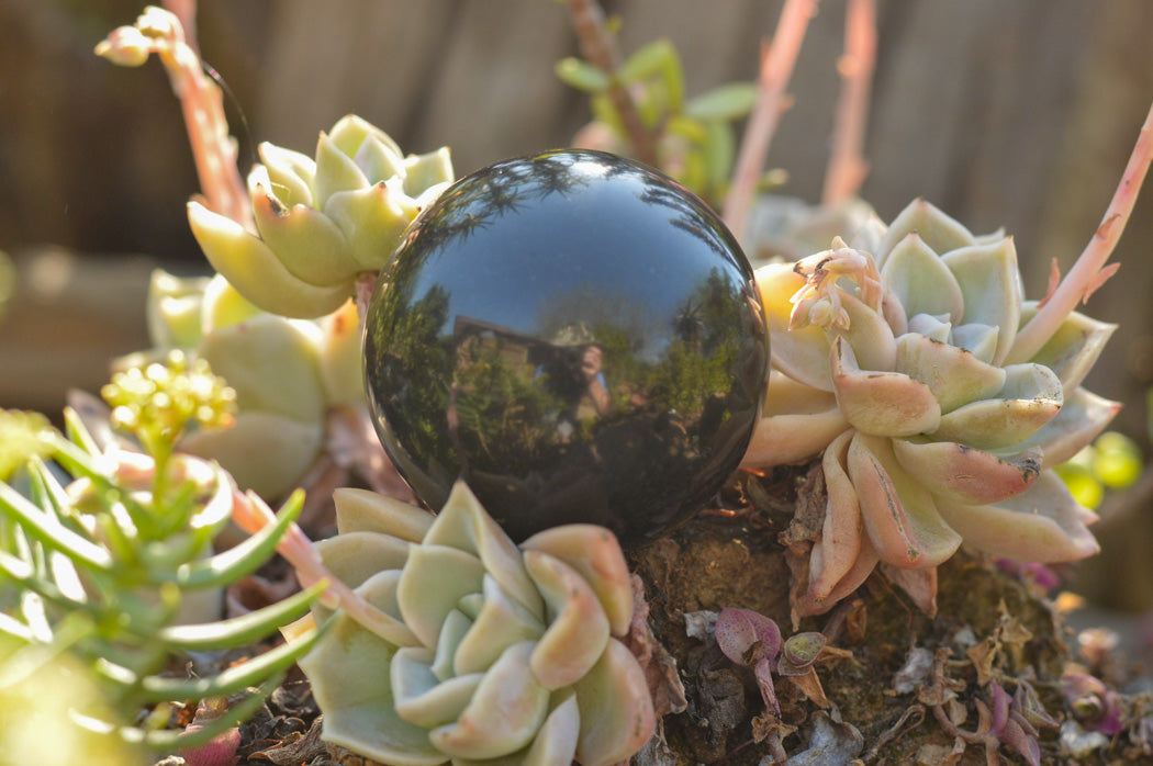 Polished Pitch Black Basalt Spheres (Heat Stable for therapy) x 5 From Madagascar - TopRock