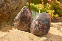 Polished Pink Rhodonite Free Forms  x 4 From Madagascar - TopRock