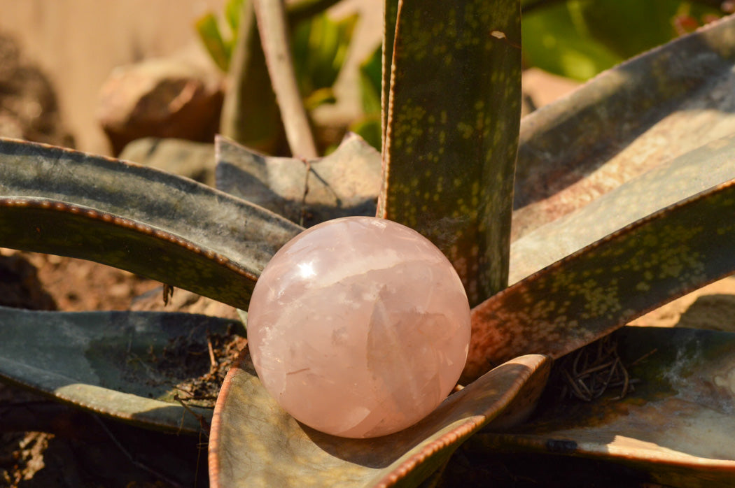 Polished Soft Pink Rose Quartz Spheres x 6 From Ambatondrazaka, Madagascar - TopRock