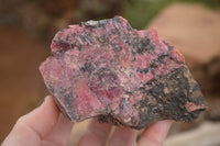 Natural Rough Pink Rhodonite Specimens  x 5 From Zimbabwe - Toprock Gemstones and Minerals