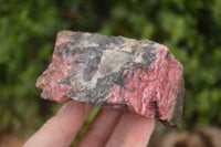 Natural Rough Pink Rhodonite Specimens  x 5 From Zimbabwe - Toprock Gemstones and Minerals