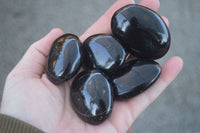Polished Schorl Black Tourmaline Palm Stones  x 20 From Madagascar - Toprock Gemstones and Minerals