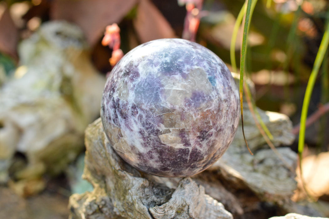 Polished Specular Purple Mica Lepidolite Spheres x 4 From Madagascar - TopRock