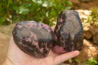 Polished Pink Rhodonite Free Forms  x 4 From Madagascar - TopRock