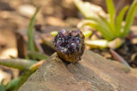 Natural Small Dark "Amethystos" Amethyst Clusters x 35 From Kwaggafontein, South Africa - TopRock