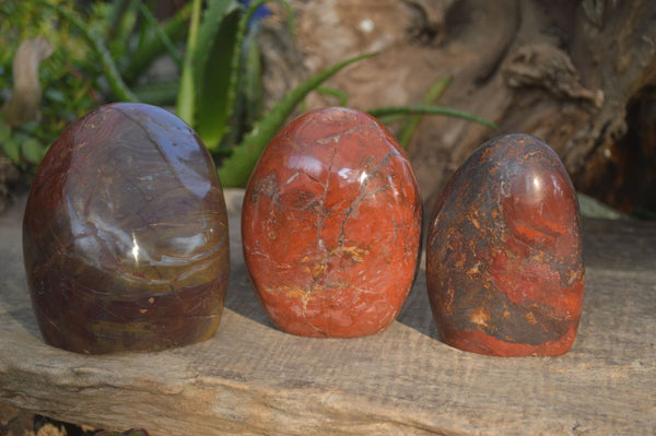 Polished Red Jasper Standing Free Forms  x 3 From Madagascar