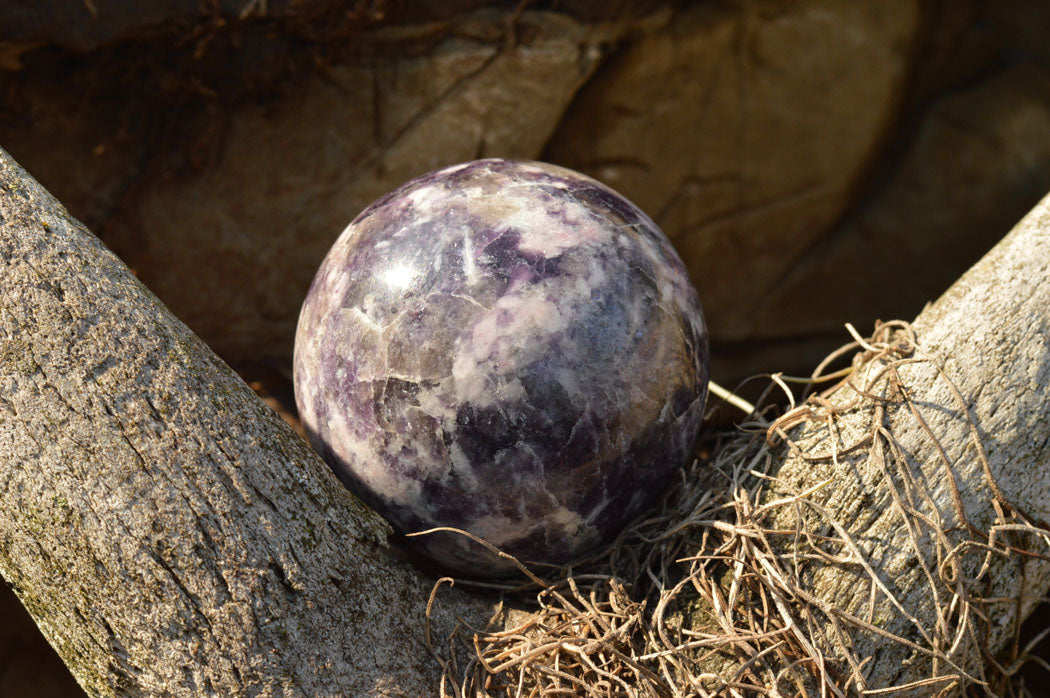 Polished Specular Purple Mica Lepidolite Spheres x 4 From Madagascar - TopRock