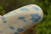 Polished Blue Spotted Spinel Dalmatian Stone Standing Free Form x 1 From Madagascar - TopRock