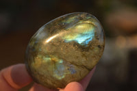 Polished  Flashy Labradorite Palm Stones  x 20 From Tulear, Madagascar - Toprock Gemstones and Minerals