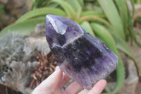 Polished Dream Amethyst Point x 1 From Madagascar - Toprock Gemstones and Minerals