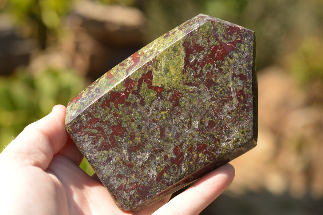 Polished Dragon Bloodstone Bastite Points x 2 From Tshipies, South Africa - TopRock