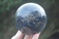 Polished Rare Iolite / Water Sapphire Spheres  x 2 From Madagascar - Toprock Gemstones and Minerals