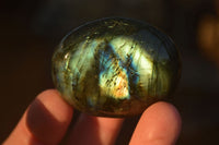 Polished  Flashy Labradorite Palm Stones  x 20 From Tulear, Madagascar - Toprock Gemstones and Minerals