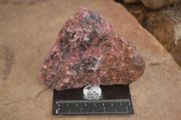 Natural Rough Pink Rhodonite Specimens  x 5 From Zimbabwe - Toprock Gemstones and Minerals