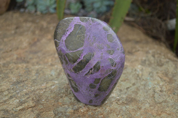 Polished Purple Stichtite & Serpentine Standing Free Form x 1 From Barberton, South Africa - Toprock Gemstones and Minerals 