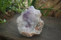 Natural Jacaranda Amethyst Clusters  x 2 From Zambia - Toprock Gemstones and Minerals