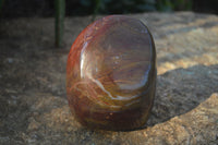 Polished Red Jasper Standing Free Forms  x 3 From Madagascar - Toprock Gemstones and Minerals