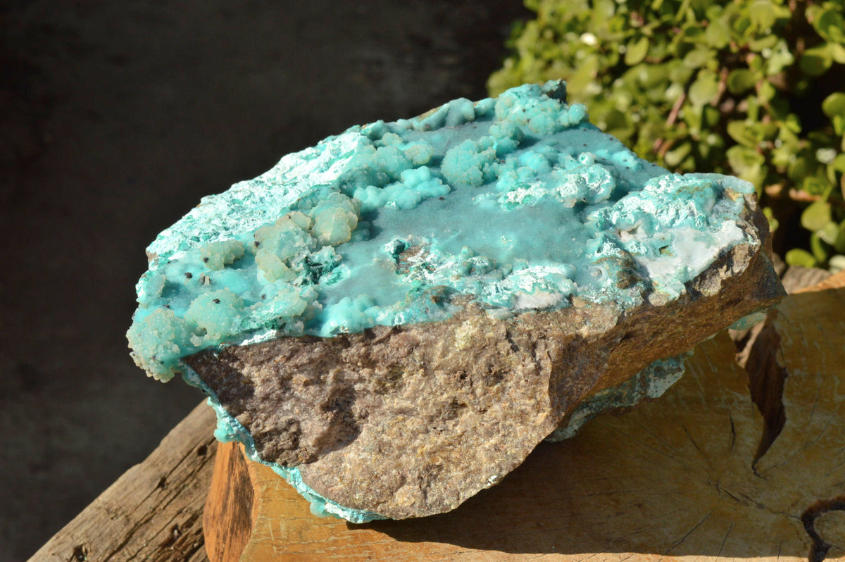 Natural Huge Drusy Chrysocolla Dolomite Specimen With Unique Crystallisation x 1 From Lupoto Mine, Congo - TopRock