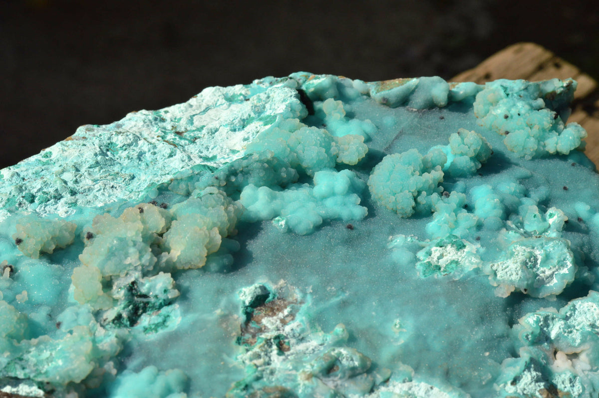 Natural Huge Drusy Chrysocolla Dolomite Specimen With Unique Crystallisation x 1 From Lupoto Mine, Congo - TopRock