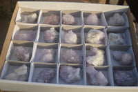 Natural Spirit Amethyst Quartz Crystals x 20 From Boekenhouthoek, South Africa - Toprock Gemstones and Minerals