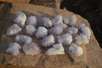 Natural Spirit Amethyst Quartz Crystals x 20 From Boekenhouthoek, South Africa - Toprock Gemstones and Minerals