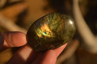 Polished  Flashy Labradorite Palm Stones  x 20 From Tulear, Madagascar - Toprock Gemstones and Minerals