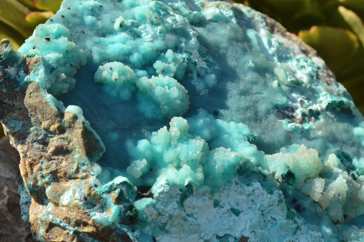 Natural Huge Drusy Chrysocolla Dolomite Specimen With Unique Crystallisation x 1 From Lupoto Mine, Congo - TopRock