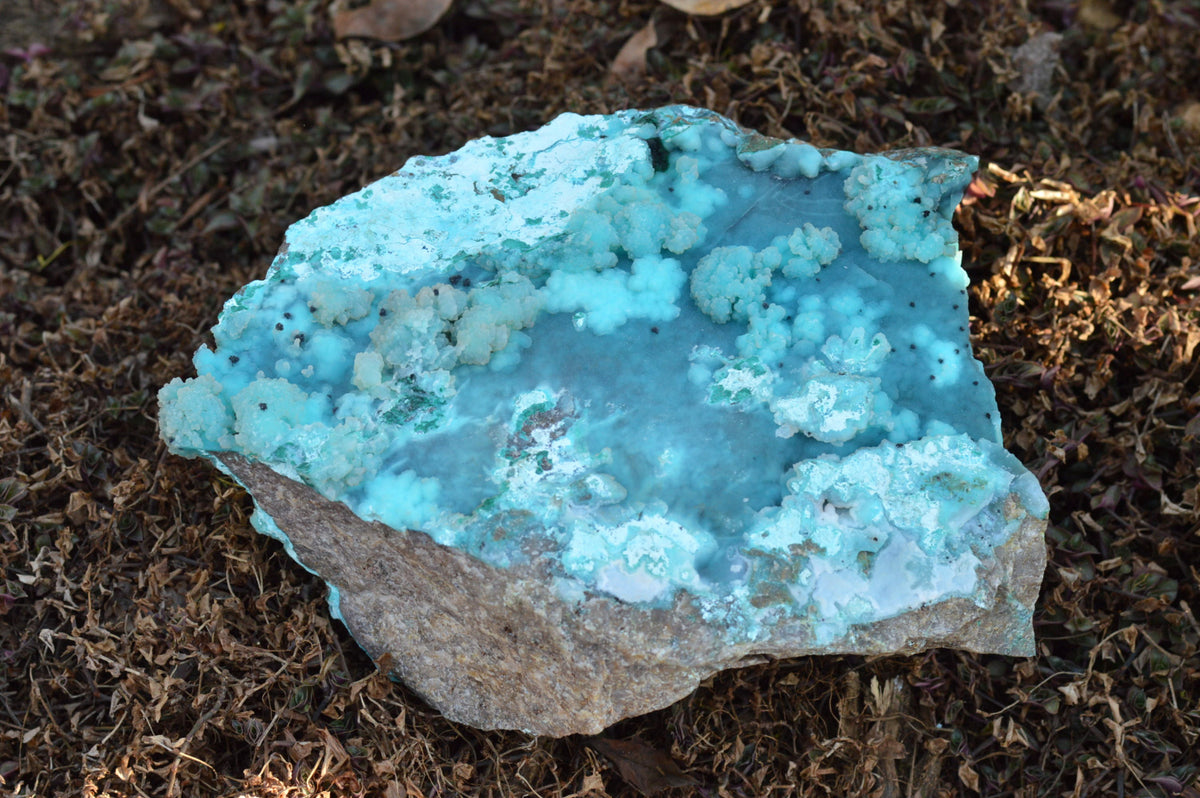 Natural Huge Drusy Chrysocolla Dolomite Specimen With Unique Crystallisation x 1 From Lupoto Mine, Congo - TopRock