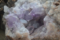 Natural Jacaranda Amethyst Clusters  x 2 From Zambia - Toprock Gemstones and Minerals
