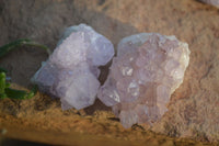 Natural Spirit Amethyst Quartz Crystals x 20 From Boekenhouthoek, South Africa - Toprock Gemstones and Minerals