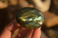 Polished  Flashy Labradorite Palm Stones  x 20 From Tulear, Madagascar - Toprock Gemstones and Minerals