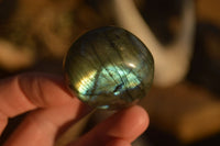 Polished  Flashy Labradorite Palm Stones  x 20 From Tulear, Madagascar - Toprock Gemstones and Minerals