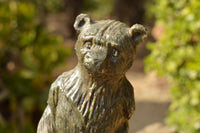 Polished Soap Stone Standing Paddington Bear Carving  x 1 From Zimbabwe - TopRock