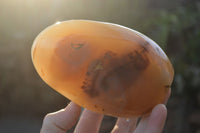 Polished Moralambo & Snow Agate Standing Free Forms  x 2 From Madagascar - Toprock Gemstones and Minerals