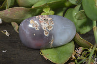Polished River Agate Palm Stones  x 16 From Sashe River, Zimbabwe - Toprock Gemstones and Minerals