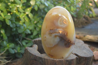 Polished Moralambo & Snow Agate Standing Free Forms  x 2 From Madagascar - Toprock Gemstones and Minerals