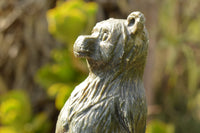 Polished Soap Stone Standing Paddington Bear Carving  x 1 From Zimbabwe - TopRock