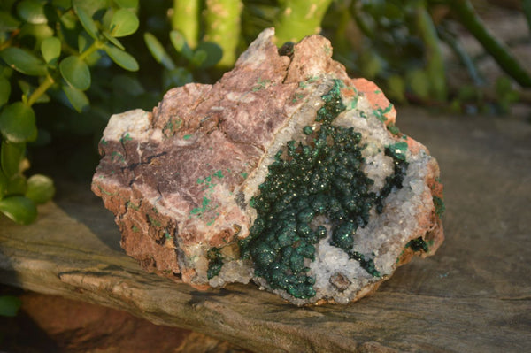 Natural Rare Ball Malachite On Drusy Quartz & Dolomite Matrix  x 1 From Kambove, Congo