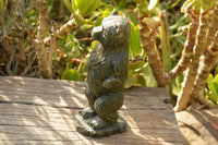 Polished Soap Stone Standing Paddington Bear Carving  x 1 From Zimbabwe - TopRock