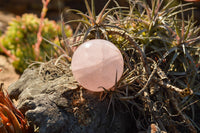 Polished Gemmy Pink Rose Quartz Spheres  x 6 From Ambatondrazaka, Madagascar - TopRock