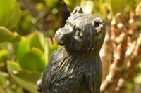 Polished Soap Stone Standing Paddington Bear Carving  x 1 From Zimbabwe - TopRock