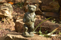 Polished Soap Stone Standing Paddington Bear Carving  x 1 From Zimbabwe - TopRock