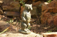Polished Soap Stone Standing Paddington Bear Carving  x 1 From Zimbabwe - TopRock