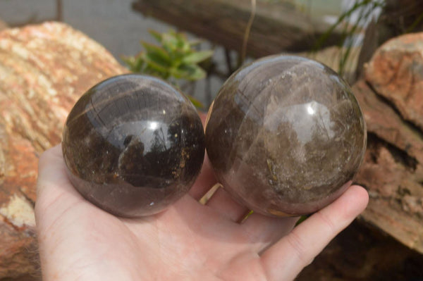 Polished Morion Smokey Quartz Spheres x 3 From Madagascar - TopRock