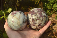 Polished Pink Tourmaline Rubellite Spheres x 2 From Ambatondrazaka, Madagascar - TopRock