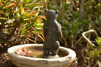 Polished Soap Stone Standing Paddington Bear Carving  x 1 From Zimbabwe - TopRock