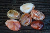 Polished Stunning Carnelian Agate Palm Stones  x 6 From Madagascar - Toprock Gemstones and Minerals